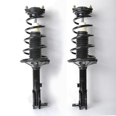 2 PCS Shock Strut Spring Assembly for 2000-2005 Hyundai-Accent