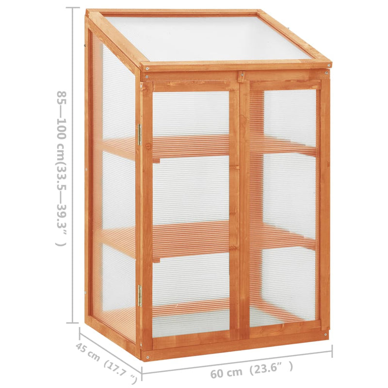 Firwood Greenhouse 23.6 x 17.7 x 39.4 Inches Ideal