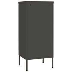 Anthracite Storage Cabinet 16.7x13.8x40 Steel